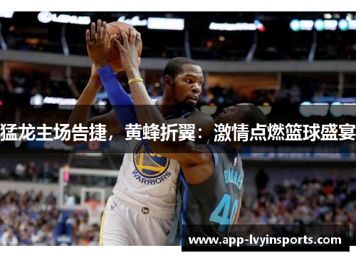 猛龙主场告捷，黄蜂折翼：激情点燃篮球盛宴